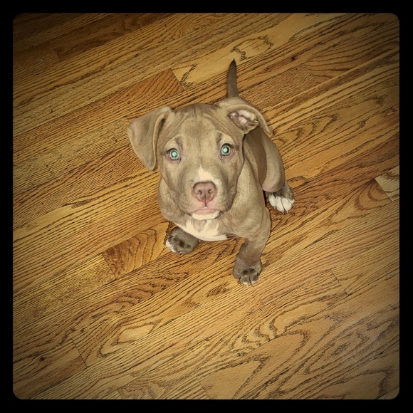 Meet your Posher, Annette - Picture 1 of 1